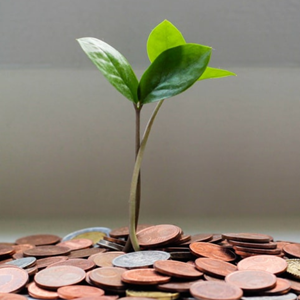 Professional Services