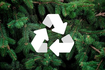 Holiday Tree Pick-Up & Recycling