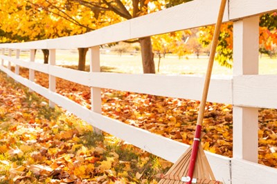 Fall Leaf Collection Begins on Monday, October 19, 2026